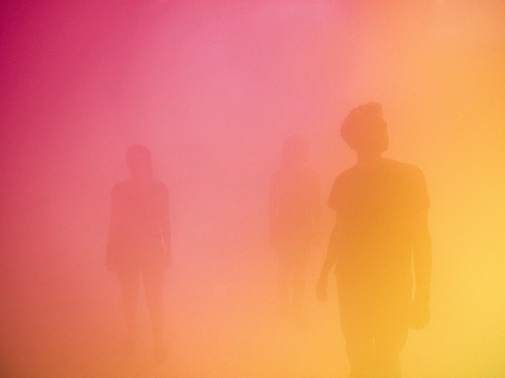 States of Mind: Ann Veronica Janssens. Wellcome Library, London. Wellcome Images 		