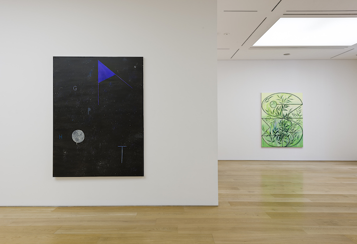 Agnieszka Brzezanska's exhibition at Marlborough Contemporary, installation view. Photography by Francis Ware