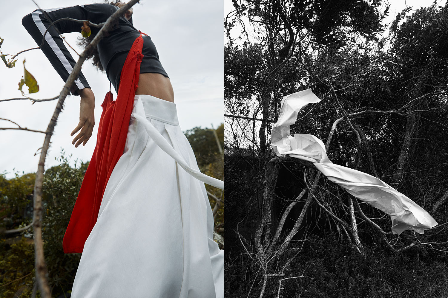 RODRIGO CARMUEGA, Fahion Editorial