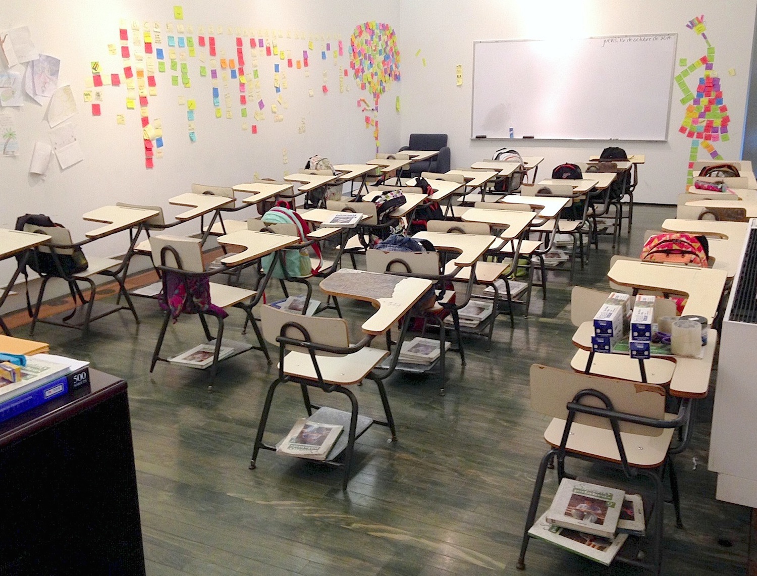 Chemi Rosado-Seijo Whitney Biennale