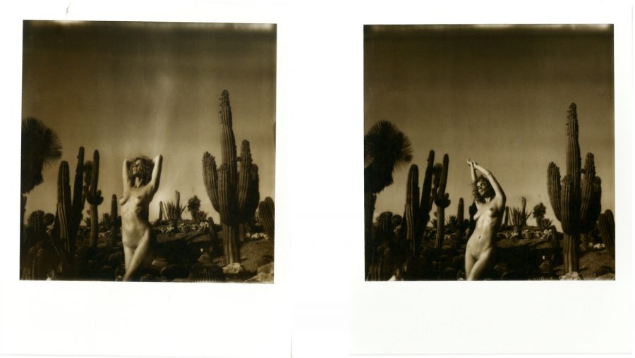 Kate Bellm - Anna Becoming A Pink Cactus, 2014