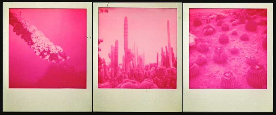 Kate Bellm - Magenta Film Lanscapes from Deia 1, 2014