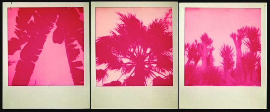 Magenta Film Lanscapes from Deia 3, 2014